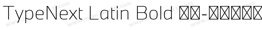TypeNext Latin Bold 粗体字体转换